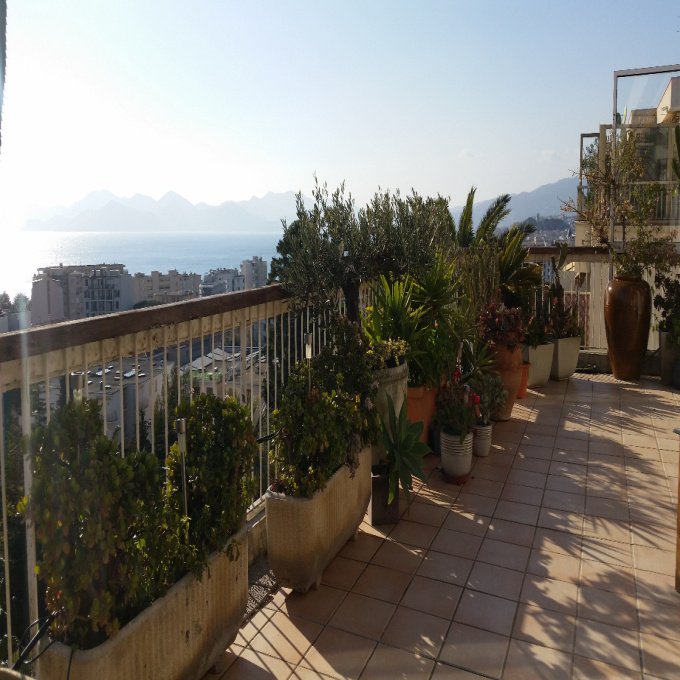 Location de vacances Appartement Cannes (06400)